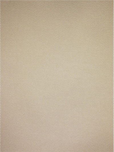 SD ZUPG C 20*16+70D  96*59  斜布 正面照